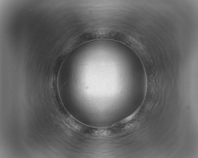 X0000076221329200610051113