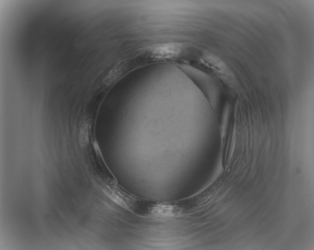 X0000076221331200610051113