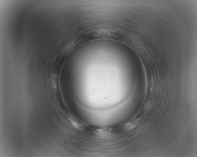 X0000076221336200610051113