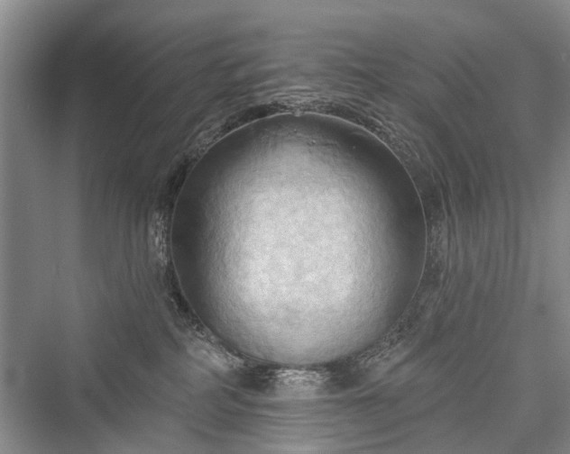 X0000076221338200610051113