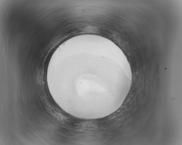 X0000076221346200610051114