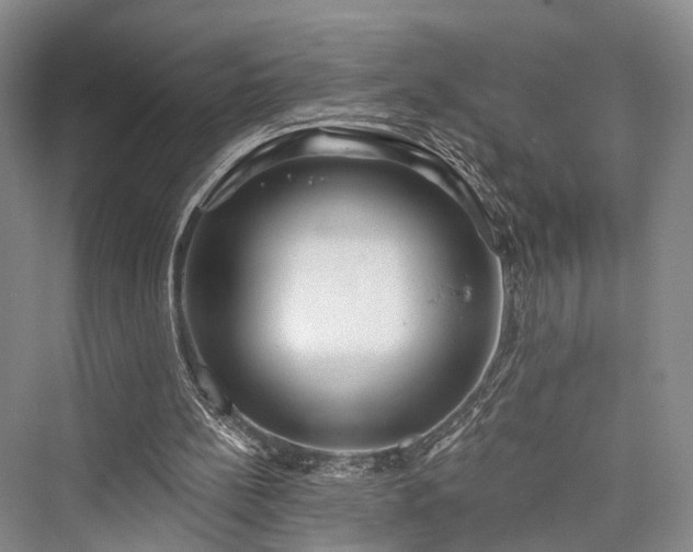 X0000076221348200610051114