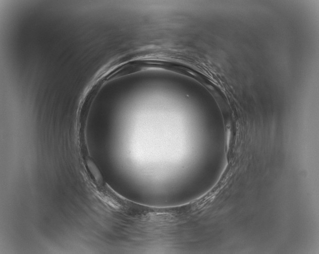 X0000076221350200610051114