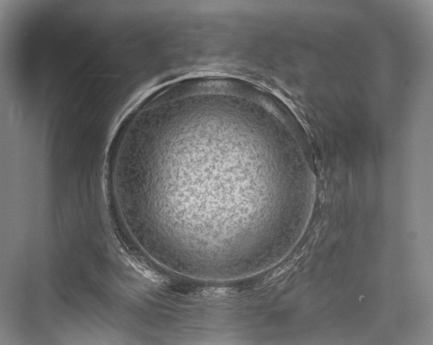 X0000076221352200610051114