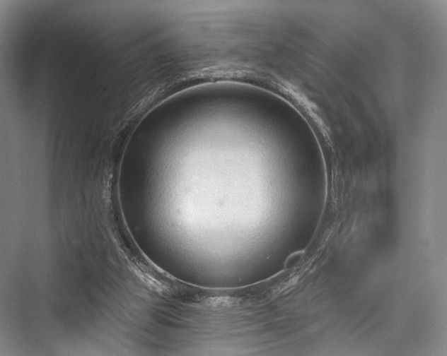 X0000076221353200610051114