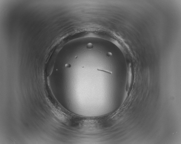 X0000076221354200610051114