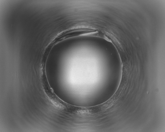 X0000076221360200610051114