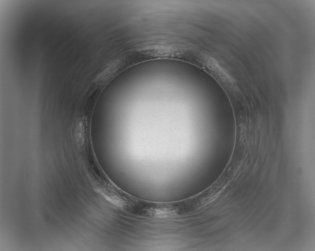 X0000076221365200610051114