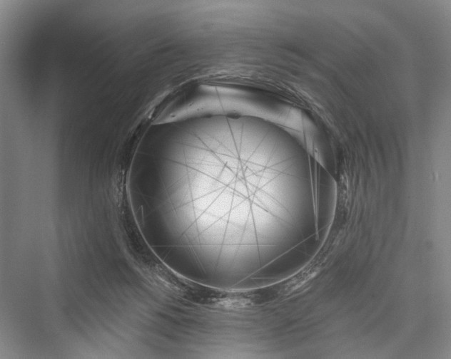 X0000076221368200610051114