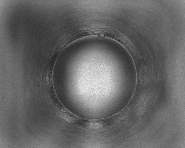 X0000076221369200610051114