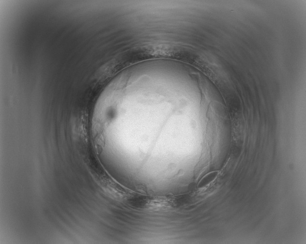 X0000076221375200610051114
