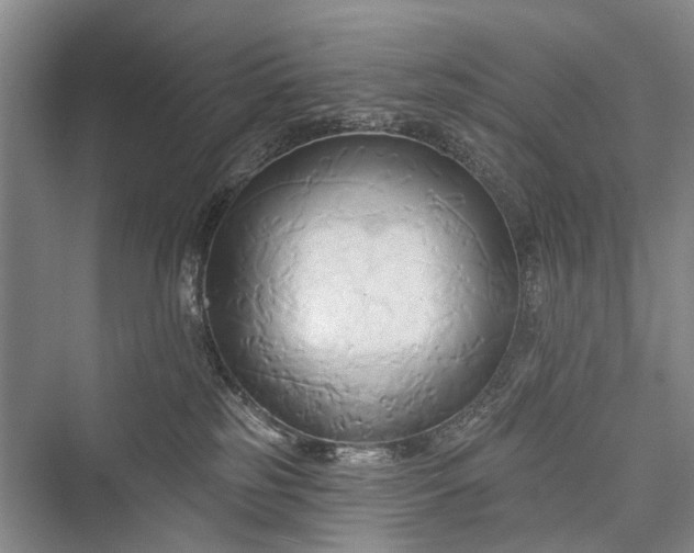 X0000076221385200610051114