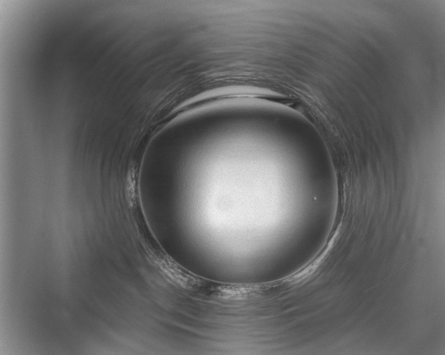 X0000076221390200610051114