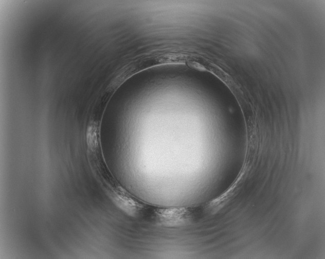 X0000076221391200610051114