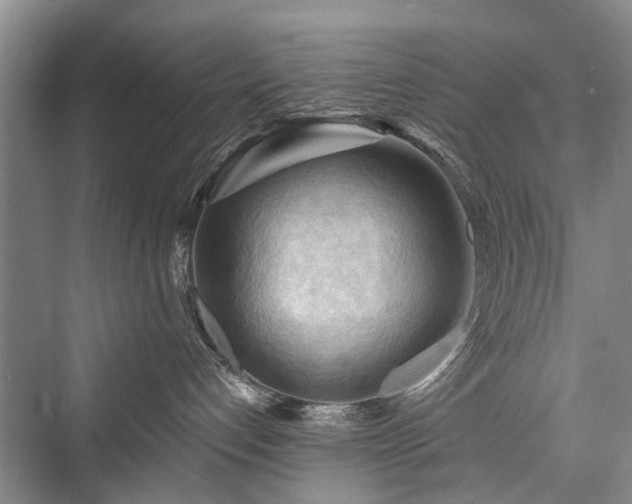 X0000076221392200610051114