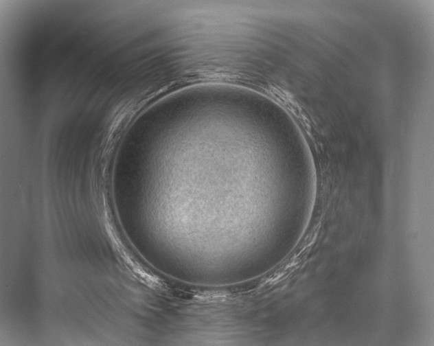 X0000076221393200610051115