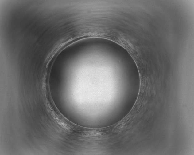 X0000076221394200610051115