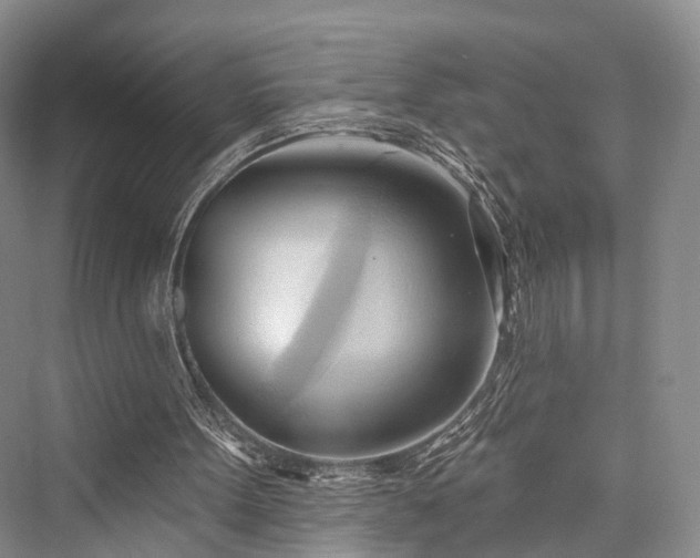 X0000076221395200610051115