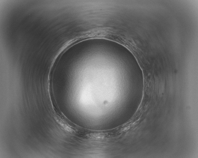 X0000076221396200610051115