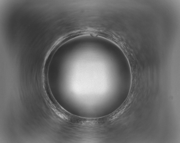 X0000076221398200610051115