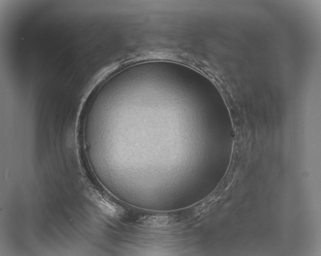 X0000076221400200610051115