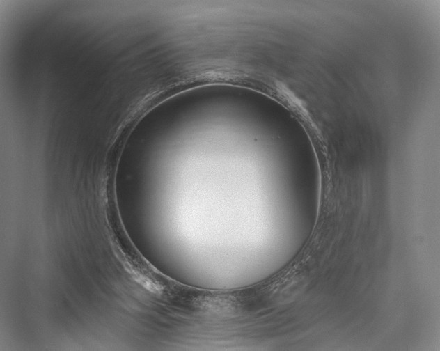 X0000076221402200610051115