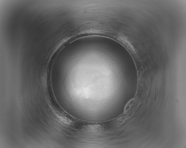X0000076221404200610051115
