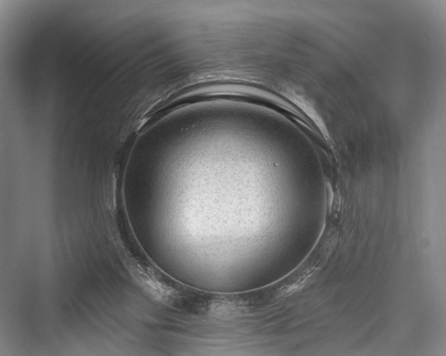 X0000076221405200610051115