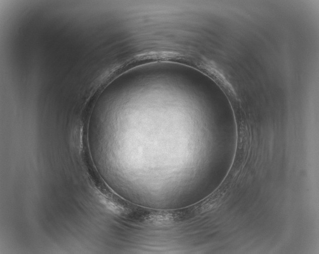 X0000076221406200610051115