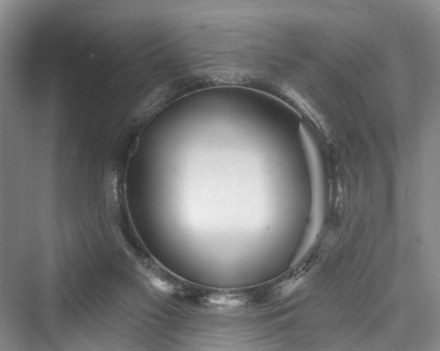 X0000076221413200610051115