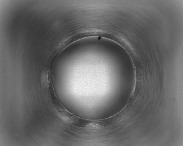 X0000076221415200610051115
