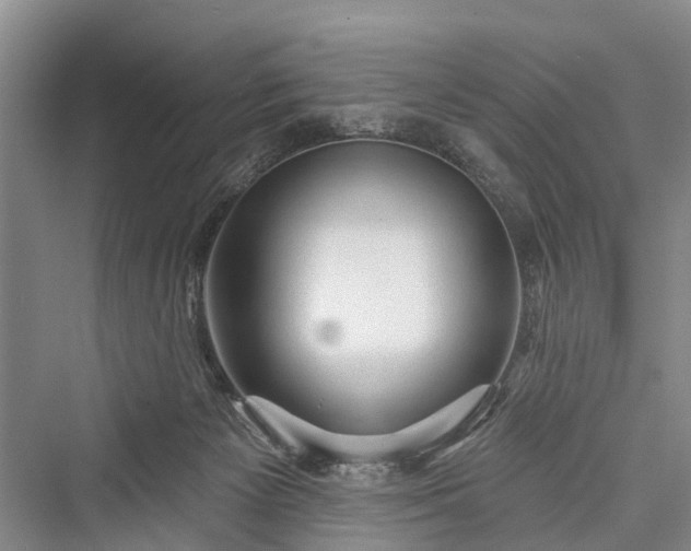 X0000076221421200610051115