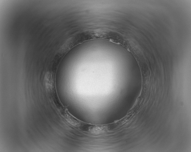 X0000076221425200610051115