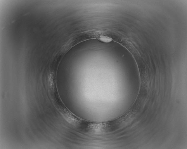 X0000076221427200610051115