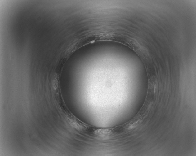 X0000076221429200610051115
