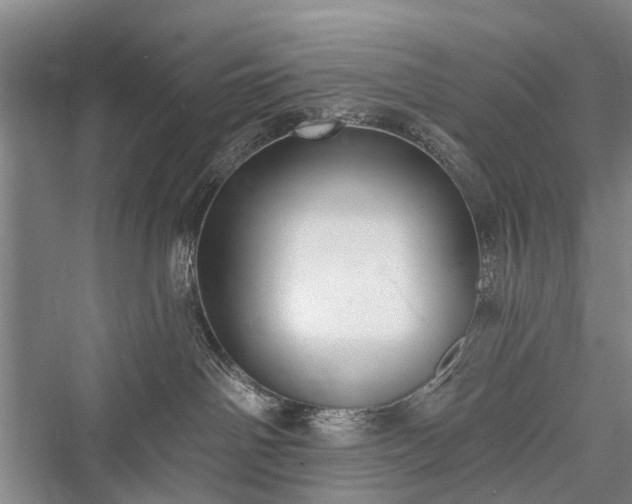 X0000076221438200610051115