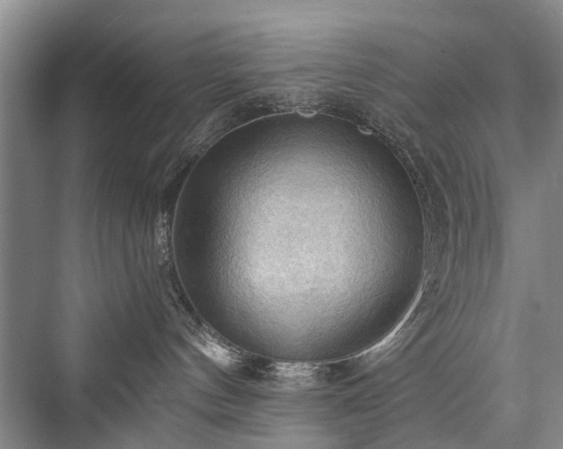 X0000076221440200610051114