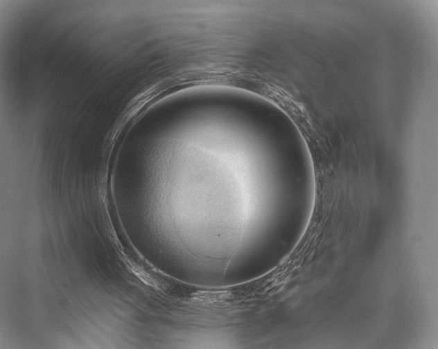 X0000076221443200610051115