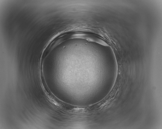 X0000076221444200610051115
