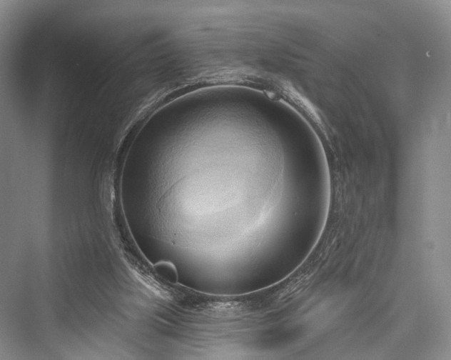 X0000076221451200610051115