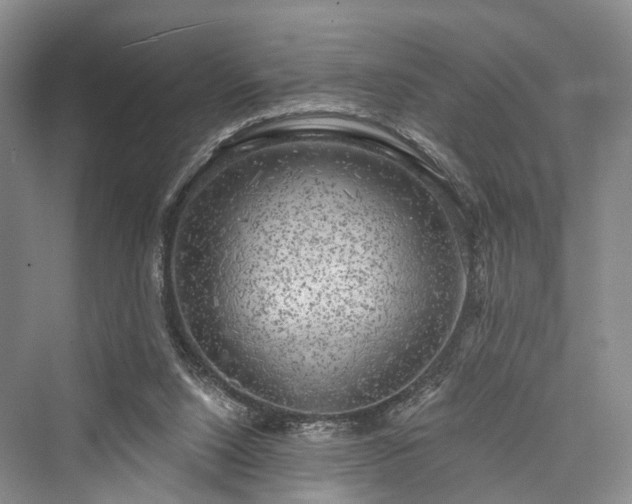 X0000076221456200610051116