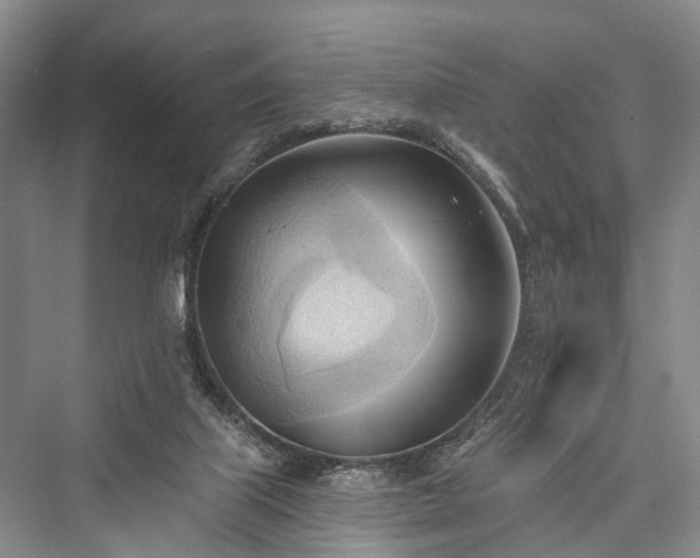 X0000076221459200610051116
