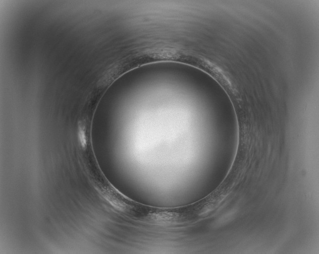 X0000076221461200610051116