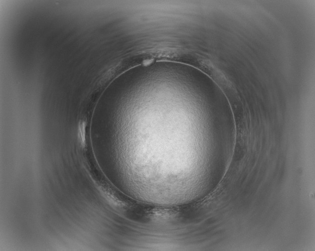 X0000076221462200610051116