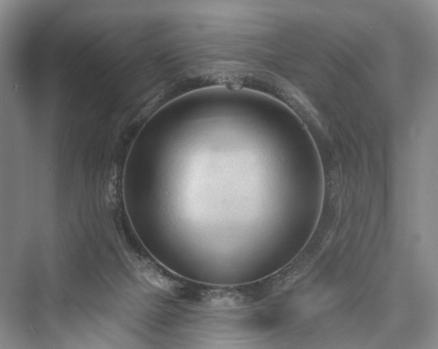 X0000076221465200610051116