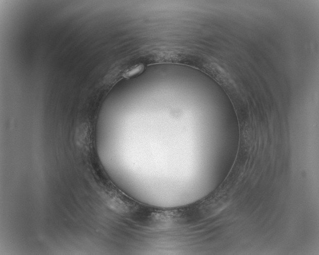 X0000076221471200610051116