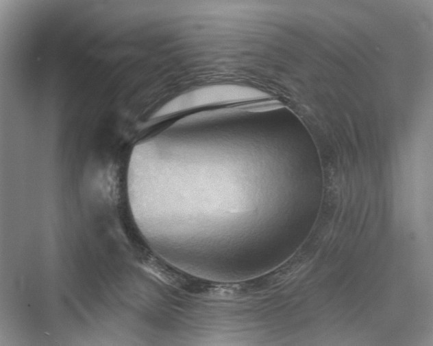 X0000076221472200610051116