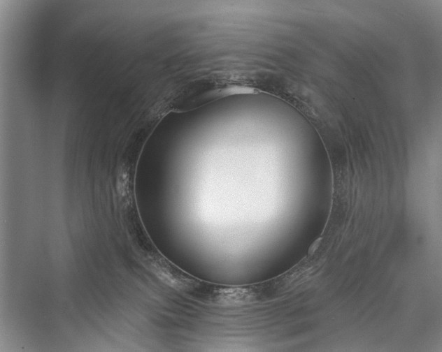 X0000076221479200610051116
