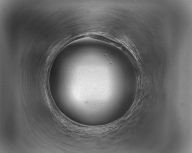 X0000076221489200610051117