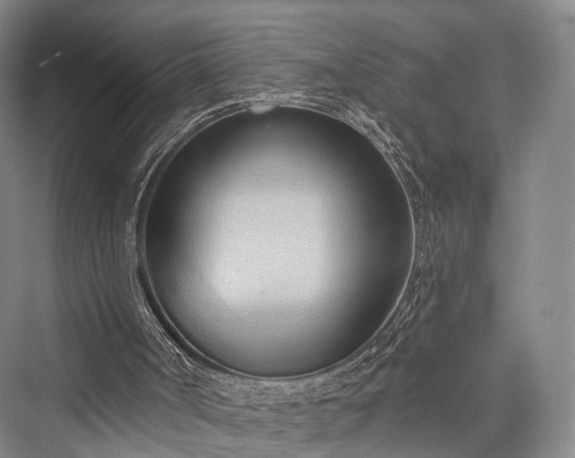 X0000076221490200610051117